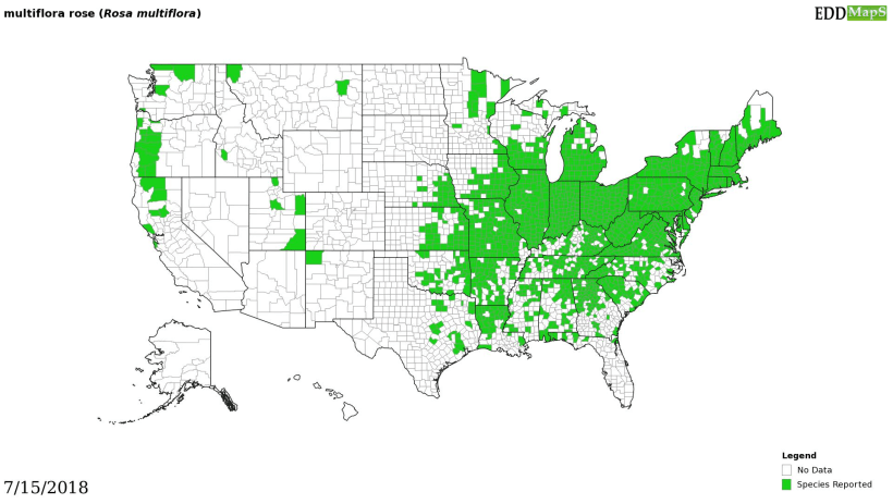 multiflora map